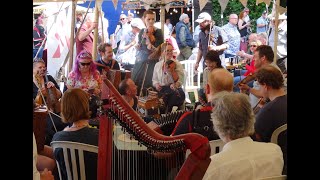 Chippenham folk festival 2024  part 7 [upl. by Werdnaed852]