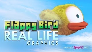 Flappy Bird Real Life Graphics [upl. by Anaidirib]