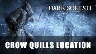 Dark Souls 3 Ashes of Ariandel  Crow Quills Location [upl. by Flori137]