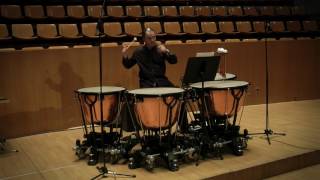 Timpani Orchestral Repertoire Excerpts Javier Eguillor Timpani [upl. by Eeniffar]