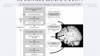 Psycholinguistics Speech Production [upl. by Irap204]