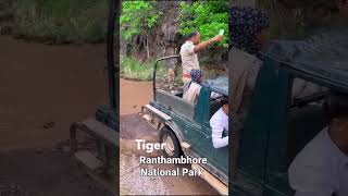 Ranthanbore National Park main tiger ranthambhore animals ranthamborenationalpark [upl. by Joel454]