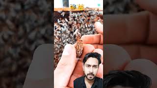 Queen 🐝👑 bee amazingfacts honeybee interestingfacts new trending dastan latest facts [upl. by Ecnarwal]