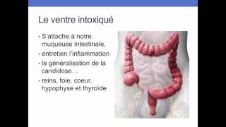 Mercure  désintoxiquez vous naturellement [upl. by Noreen]