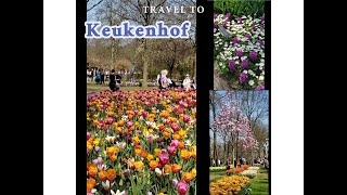 Video 2 FUI A KEUKENHOF EL PARQUE MAS GRANDE DE FLORES EN HOLANDA  I WENT TO KEUKENHOF THE BIGGEST [upl. by Brebner]