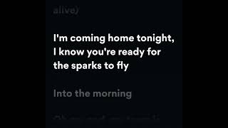 Sheppard  Coming Home Lyrics [upl. by Pfeffer439]