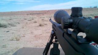 Shooting Ruger 10 22 [upl. by Hagood]