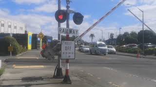 Raffles Street level crossing in Napier 3 [upl. by Ferriter]