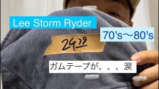 【Lee】Storm Ryderコーディロイ 【伊東暮らし芸人プリンチャンネル】 [upl. by Alilad]