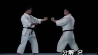 Shitokai  Shitoryu  Heian NidanPinan Nidan Bunkaikumite [upl. by Hayyifas400]