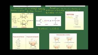 Biología 2 Bachillerato Tema 2 Los glúcidos Apartado 2 Los monosacáridos [upl. by Dominus776]