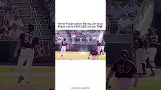 Never Forget when Randy Johnson made a bird EXPLODE on live TV🧨 mlb baseball bird animals [upl. by Stella313]