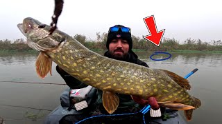 Un Beau Brochet sous le Ciel Gris du Nord  Le Froid Mord mais la Pêche Récompense  ❄️ [upl. by Eveneg]