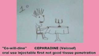 cephalosporin [upl. by Assert]