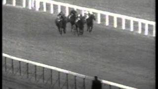 1968 St Leger Stakes [upl. by Nosreme]