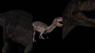 Baryonyx vs allo y carno [upl. by Roseline655]