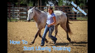 How To Start Liberty Training With Your Horse Basic Exercises Part 1 [upl. by Horne]