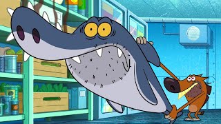 ZIG AND SHARKO  Chainsaw Shark SEASON 3 New episodes  Cartoon Collection for kids [upl. by Nylesor]