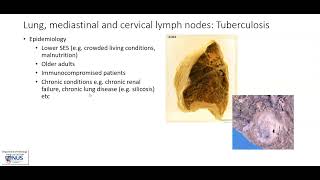 Lung mediastinal and cervical lymph nodes Tuberculosis TB Gross pathology [upl. by Eudocia]