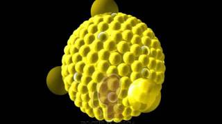 Lipoproteins [upl. by Canter136]