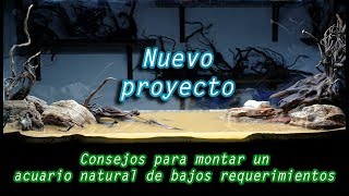 Como montar un acuario natural de bajos requerimientos [upl. by Blus]