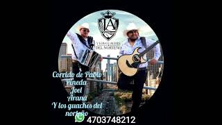 Pablo Pineda  Joel Arana y los guaches del norteño [upl. by Aikemahs]