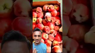 Apple 🍎🍎 Bna 🐕🐕  dog fruit funny fun jokes youtubeshorts gauravaroravlogs [upl. by Elephus627]