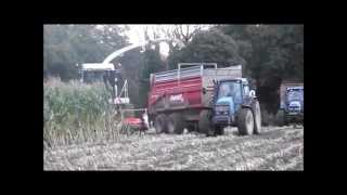 Ensilage Mais 2015  Go Pro  Corn Silage [upl. by Repinuj687]