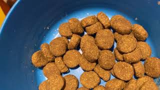 Acana and Gain Puppy Food Review [upl. by Atikahc]