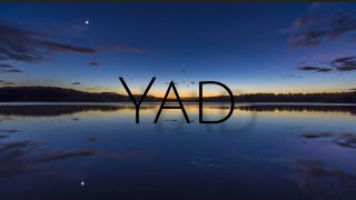 YAD  English version  by Erika Lundmoen  lyrics [upl. by Nahtnoj]