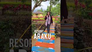 Hotels in Araku [upl. by Jenei]