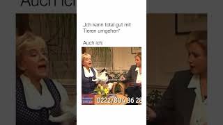 funnymemes funny lustig komedi shorts humor short fyp german germany deutschland deutsch [upl. by Jann]