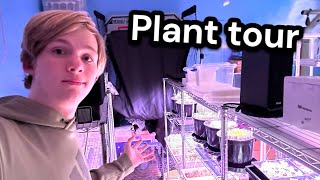 Plant tour [upl. by Rojam]