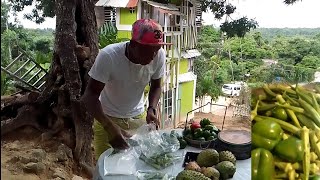 Okra fi dayz selling some okra to the community people [upl. by Fletch711]