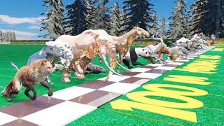 45 Wild Animals Roaring Race and Clash in an Epic Battle for Racing [upl. by Swec]