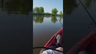 Pike Bite shorts fishing agressive pike angling kayakfishing exciting fish aggressive fun [upl. by Assirod]