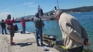 Observing Turks Fishing Horse Mackerel In Dardanelles Strait horsemackerel fishingvideo fishing [upl. by Adianez272]