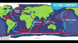 The Gulf Stream at Risk How Climate Change is Slowing Our Ocean Currents [upl. by Ivetts]