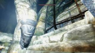 Skyrim Requiem  Trolling Companion Ghosts [upl. by Winola]