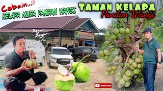 COBAIN‼️KELAPA PANDAN WANGI DI TAMAN KELAPA WOWKELAPANYA ENAK WANGI [upl. by Gerita29]