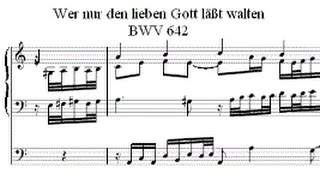 Wer nur den lieben Gott Bwv 642 orgelbuchlein  JSBach Aldo Locatelli [upl. by Anoiuq]