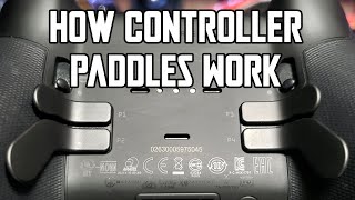 How Controller Paddles Work and Why Theyre Worth it [upl. by Lashond981]