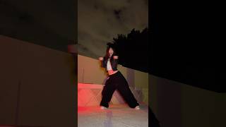 Don Toliver  ‘No Pole’ TikTok Dance Challenge  Karina Balcerzak [upl. by Inod911]