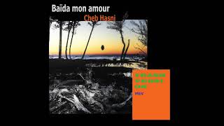 Baïda mon amour  Cheb Hasni trash remix [upl. by Dnalhsa903]