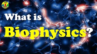 What is Biophysics [upl. by Pachston]