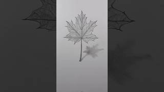 Draw a realistic maple leaf 🍁 Easy drawing lesson for beginners on how to draw a maple leaf [upl. by Berl351]