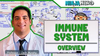 Immunology  Immune System Overview [upl. by Bogusz]