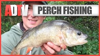 How To Catch Perch  Perch Fishing Tips [upl. by Ivette]