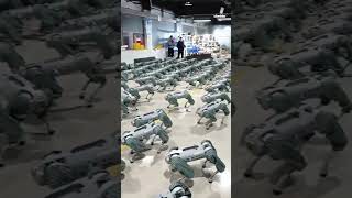 Watch Mass testing of Unitree Go1 robot dogs in factory [upl. by Ayotnahs]