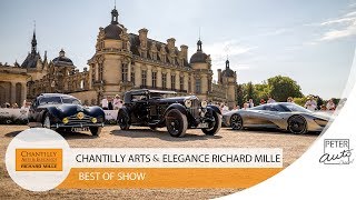 Best of Show  Chantilly Arts amp Elegance 2019 [upl. by Delmor]